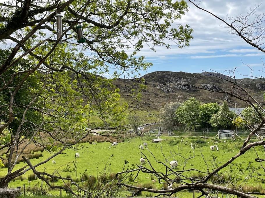 Beautiful Cottage In A Wonderful Highland Setting Drumbeg ภายนอก รูปภาพ